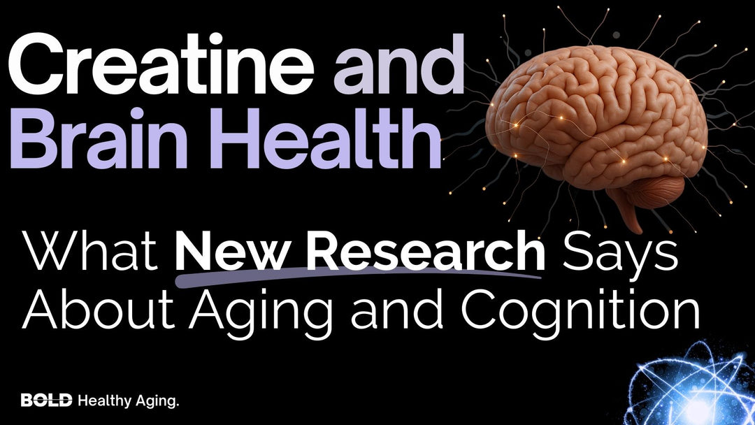 NEW Study: Creatine and Brain Health