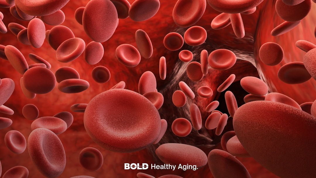 High Vitamin B6 Levels: Could Your Supplements Be the Cause?