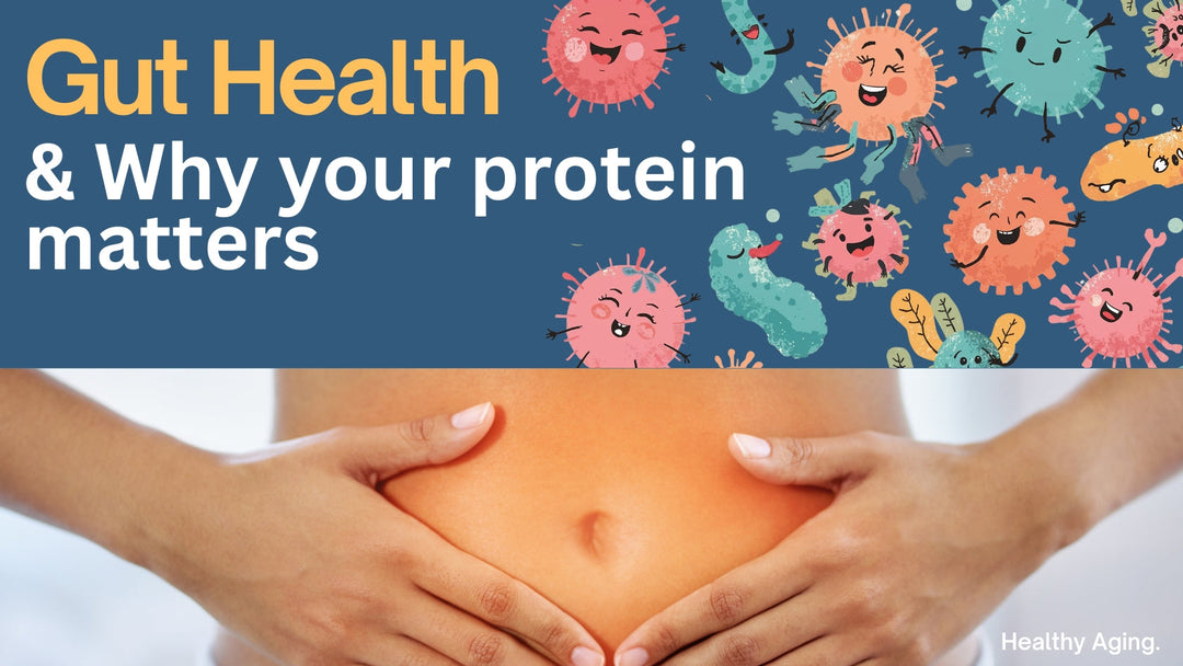 Best Vegan Protein Powder in Australia: A Complete Guide for Gut Health and Wellness