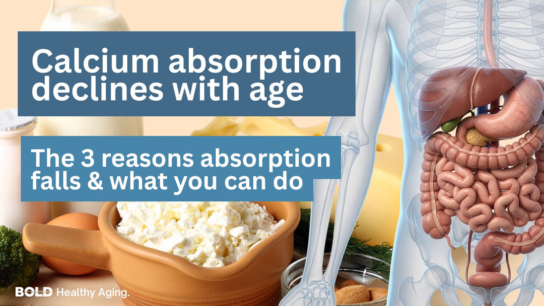 Why Your Body Absorbs Less Calcium After 50 plus the 3 Biological Reasons Behind It