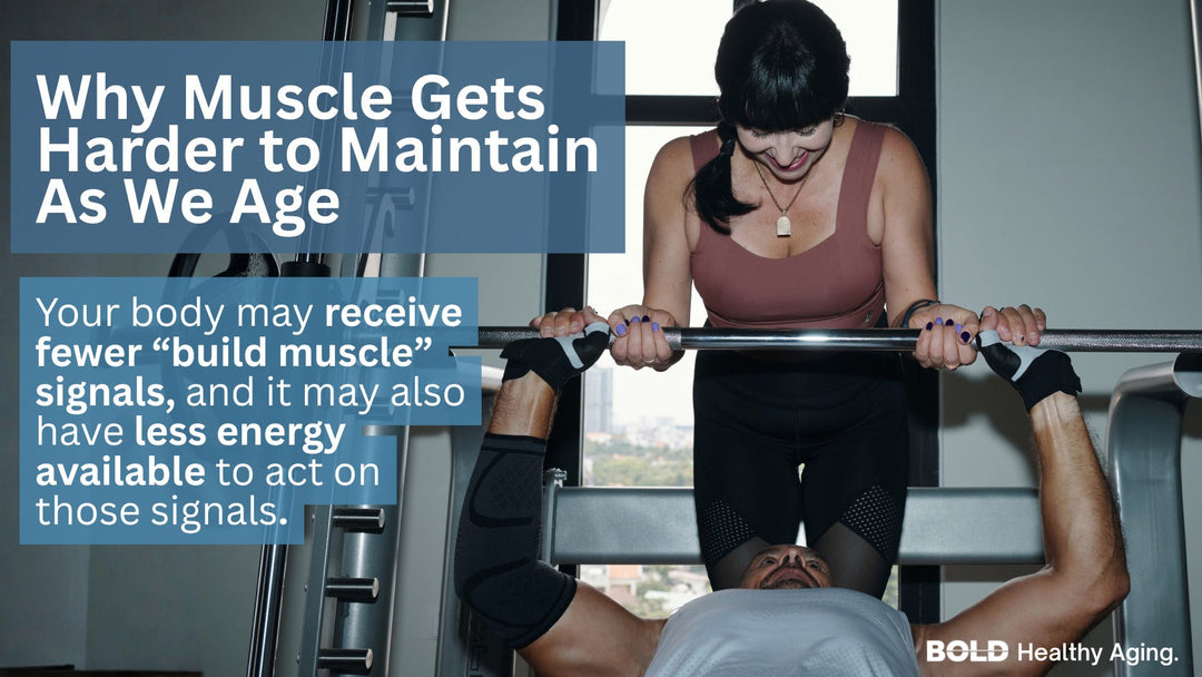 Reduced Anabolic Signalling Explained: Why Muscle Declines With Age