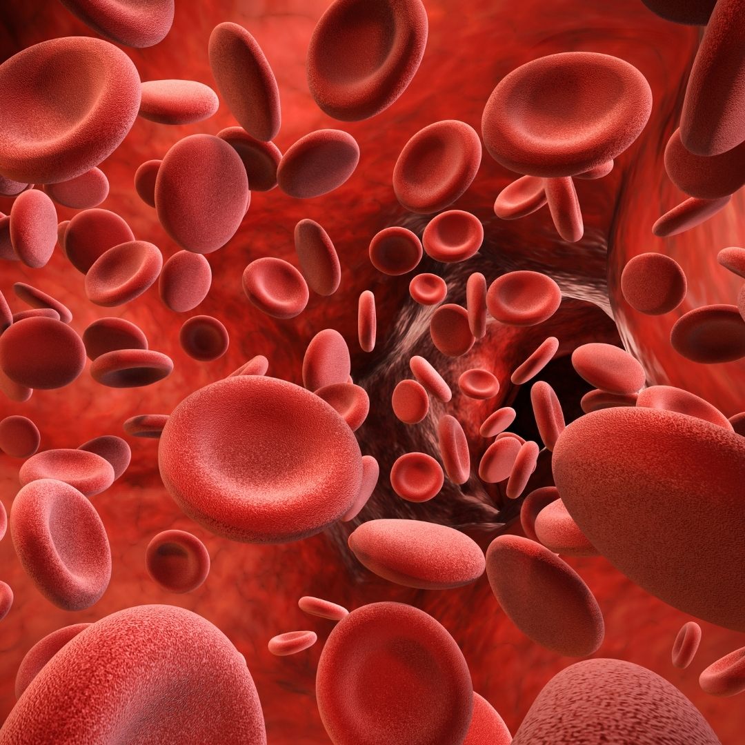 High Vitamin B6 Levels: Could Your Supplements Be the Cause?