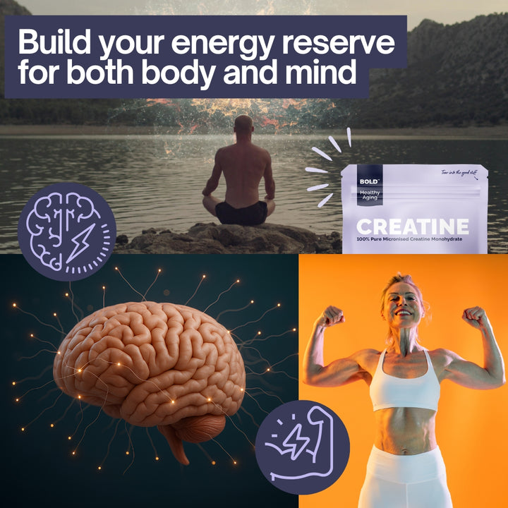 Bold Creatine | 100% Pure Micronised Creatine Monohydrate